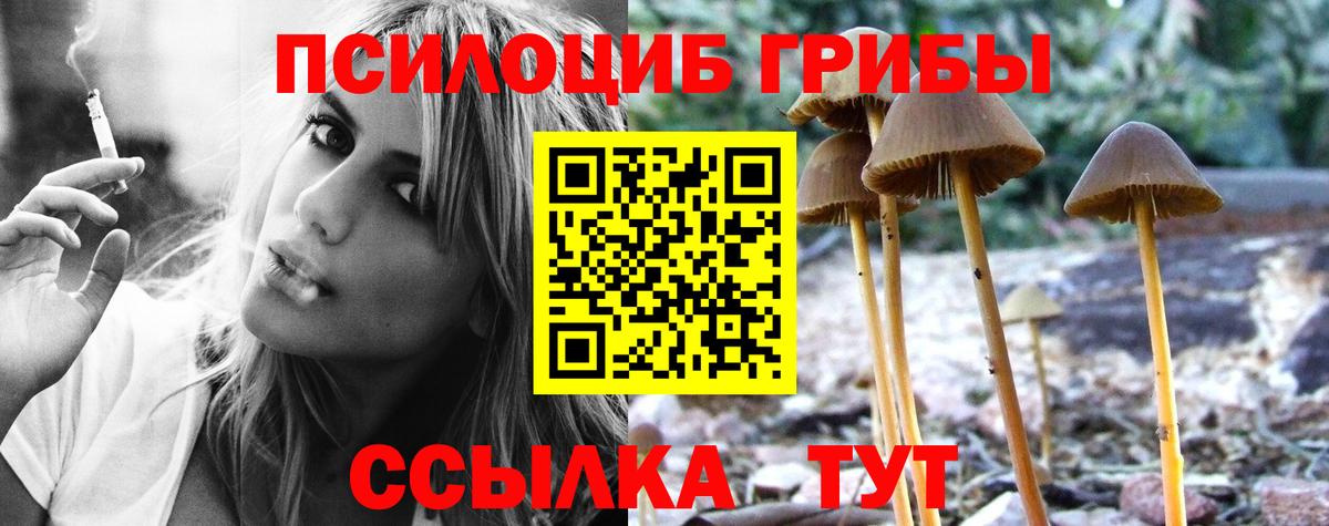 Галлюциногенные грибы прущие грибы Клин
